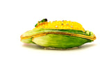 Corn Trinket Box. Handmade with Austrian Crystals Enamel