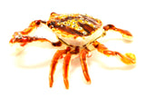 Seaside Crab Trinket Box. Brown Enamel with Austrian Crystals