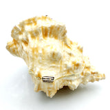 Big Hermit Crab Trinket Box. Hand Crafted with Austrian Crystals Enamel