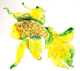 Fish Decorative Display