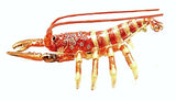 Lobster Trinket Box. Orange Enamel with Austrian Crystals