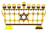 Decorative Menorah with Star of David