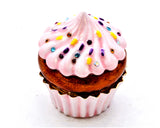 Cupcake Trinket Box with Frosty. Made with Austrian Crystals