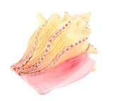 Beautiful Conch Shell Trinket Box Made with Austrian Crystals