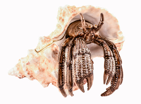 Big Hermit Crab Trinket Box. Hand Crafted with Austrian Crystals Enamel