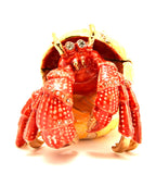 Seaside Hermit Crab Trinket Box Made with Austrian Crystals