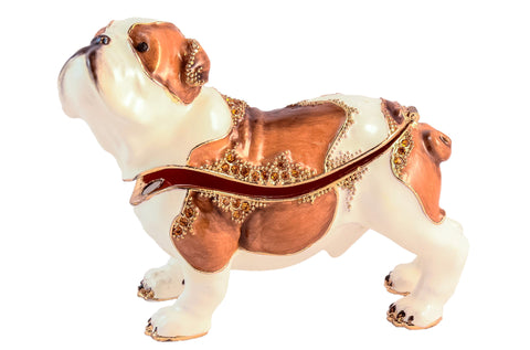 Bull Dog Trinket Box