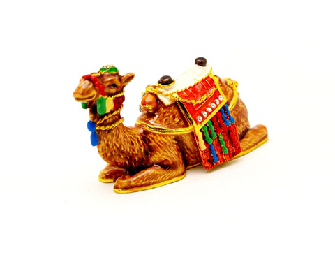 Dressed Sitting Camel