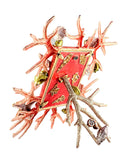 Sea Life Picture Frame