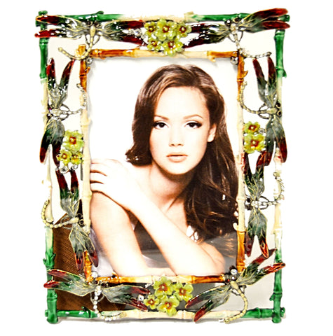 Fluttering Dragonfly Picture Frame